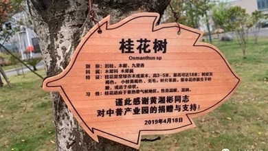 “種”希望！綠化中普，共建美麗家園